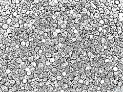 black pepper Coloring Pages To Print